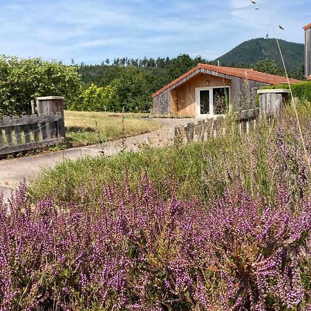 Le Chalet Dans La Nature Saulcy-sur-Meurthe ภายนอก รูปภาพ
