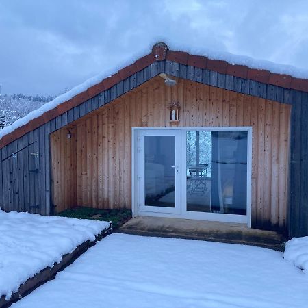 Le Chalet Dans La Nature Saulcy-sur-Meurthe ภายนอก รูปภาพ