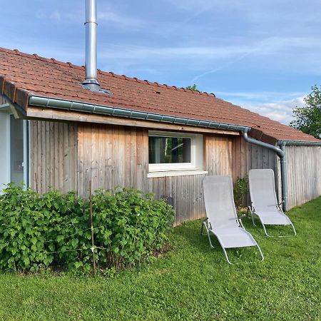 Le Chalet Dans La Nature Saulcy-sur-Meurthe ภายนอก รูปภาพ