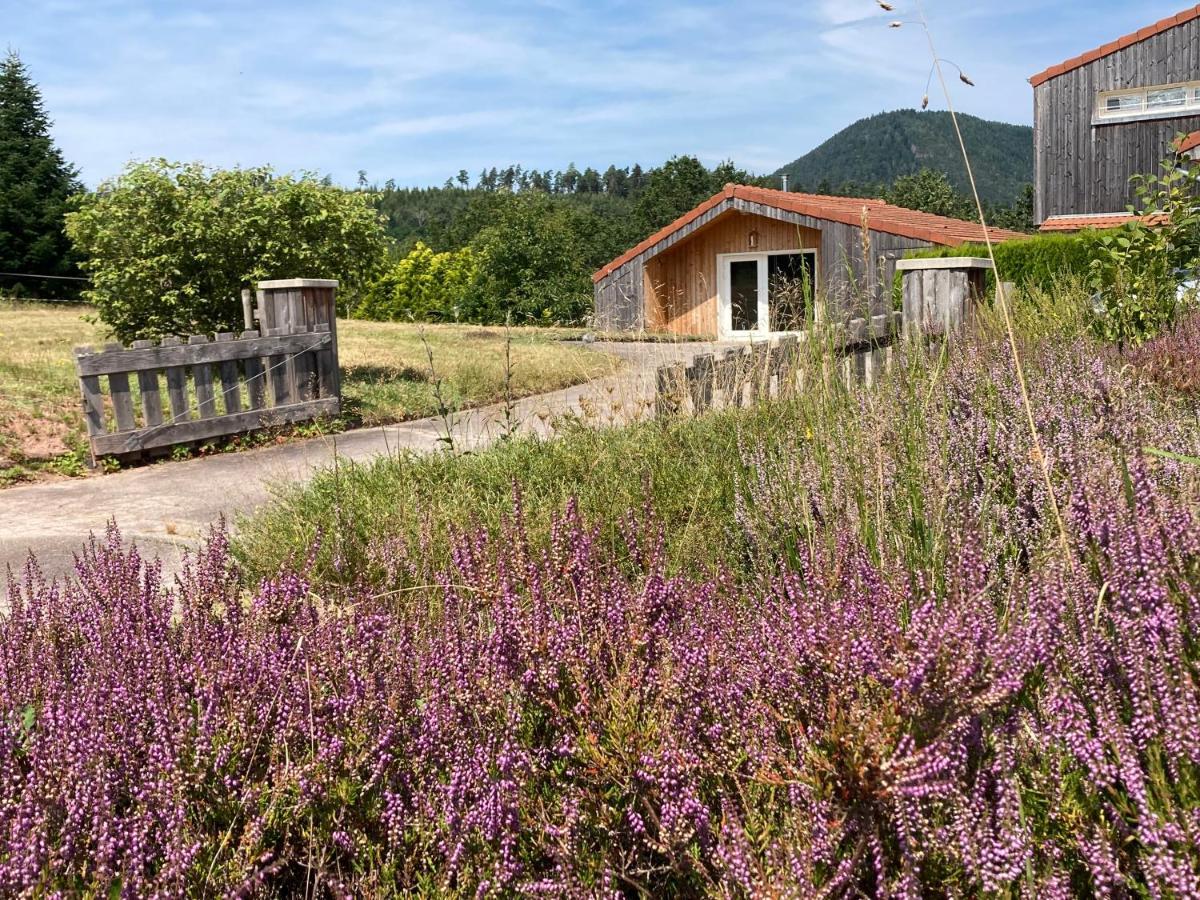 Le Chalet Dans La Nature Saulcy-sur-Meurthe ภายนอก รูปภาพ