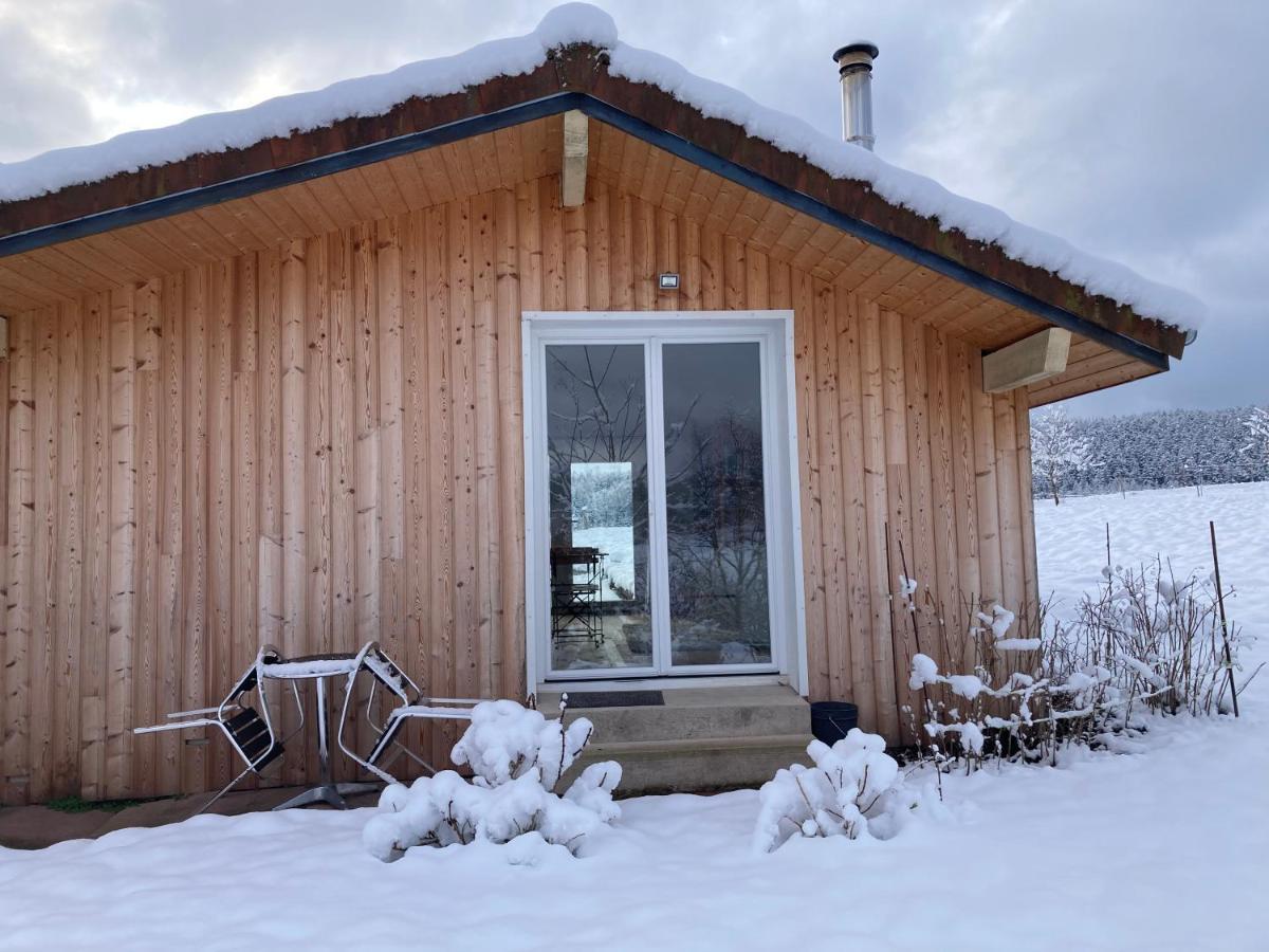 Le Chalet Dans La Nature Saulcy-sur-Meurthe ภายนอก รูปภาพ